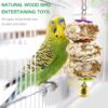 615t2QofwWL._AC_SL1001_ Bird Parrot Swing Toys