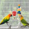 Bird Parakeet Toy