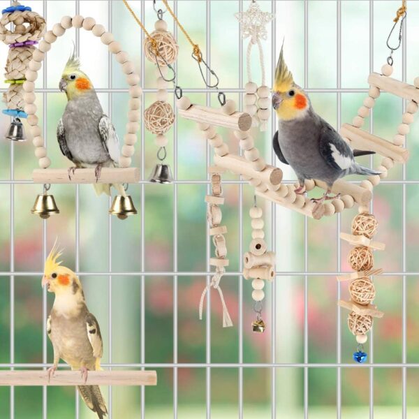 61Rodflf2IL._AC_SL1001_ Bird Parrot Swing Toys