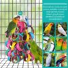 lovyoCoCo Bird Toys Conure Toys