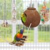 Bird Parakeet Toy