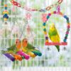 Bird Parakeet Toy