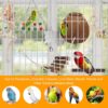 Bird Parakeet Toy
