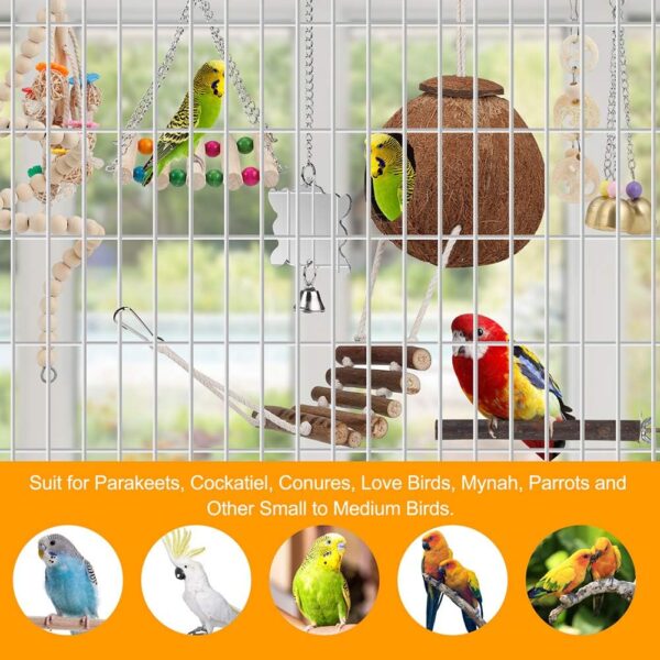 Bird Parakeet Toy