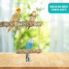 71MDovosNbL._AC_SL1500_ Bird Perches