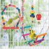 Bird Parakeet Toy