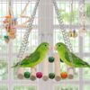 Bird Parakeet Toy