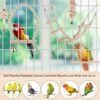 71QAyYNbPeL._AC_SL1001_ Bird Parrot Swing Toys