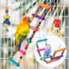 Bird Parakeet Toy