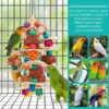 lovyoCoCo Parrot Toys