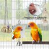Bird Parakeet Toy