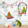Bird Parakeet Toy