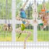 Bird Parakeet Toy