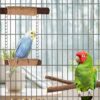 7-Piece Bird Perches for Cage