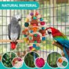 lovyoCoCo Parrot Toys