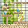 81Te3flVDcL._AC_SL1500_ Bird Perches