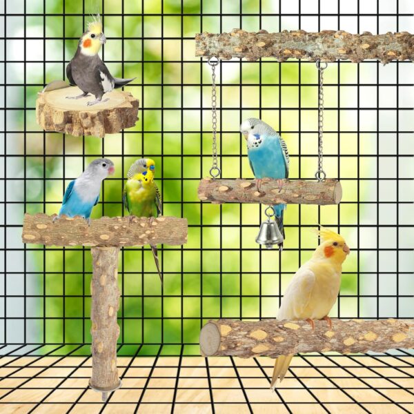 81Te3flVDcL._AC_SL1500_ Bird Perches