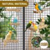 81bnZa9+I3L._AC_SL1500_ Bird Perches