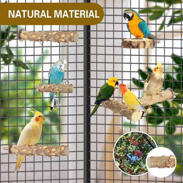 81bnZa9+I3L._AC_SL1500_ Bird Perches