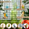 81g8EoKGiEL._AC_SL1500_ Bird Perches