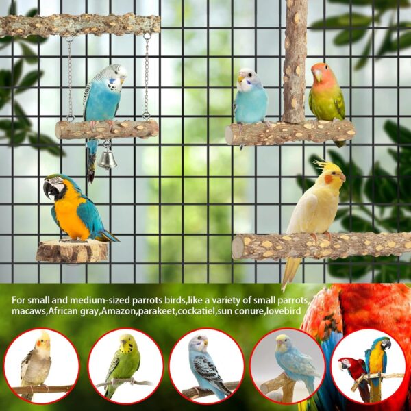 81g8EoKGiEL._AC_SL1500_ Bird Perches