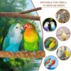 7-Piece Bird Perches for Cage
