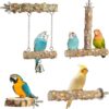bird perches 1 Bird Perches