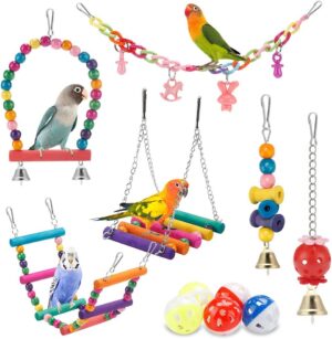 Bird Parakeet Toy