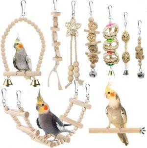 Bird Parrot Swing Toys