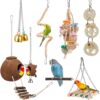 Bird Parakeet Toy