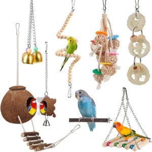 Bird Parakeet Toy